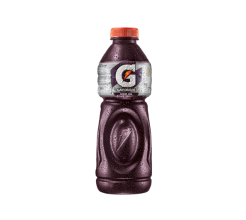 ISOTÔNICO GATORADE UVA 500 ML (PCT 6 UN)